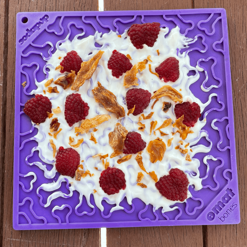 Soda Pup - Bones Emat Enrichment Lick Mat - Teddy DogWear