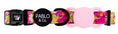 Load image into Gallery viewer, Pablo & Co. Boutique - Pet Dog AirTag Holder - Teddy DogWear
