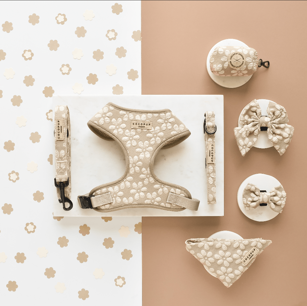 Cocopup London - LUXE Collar - Mocha Flower - Teddy DogWear