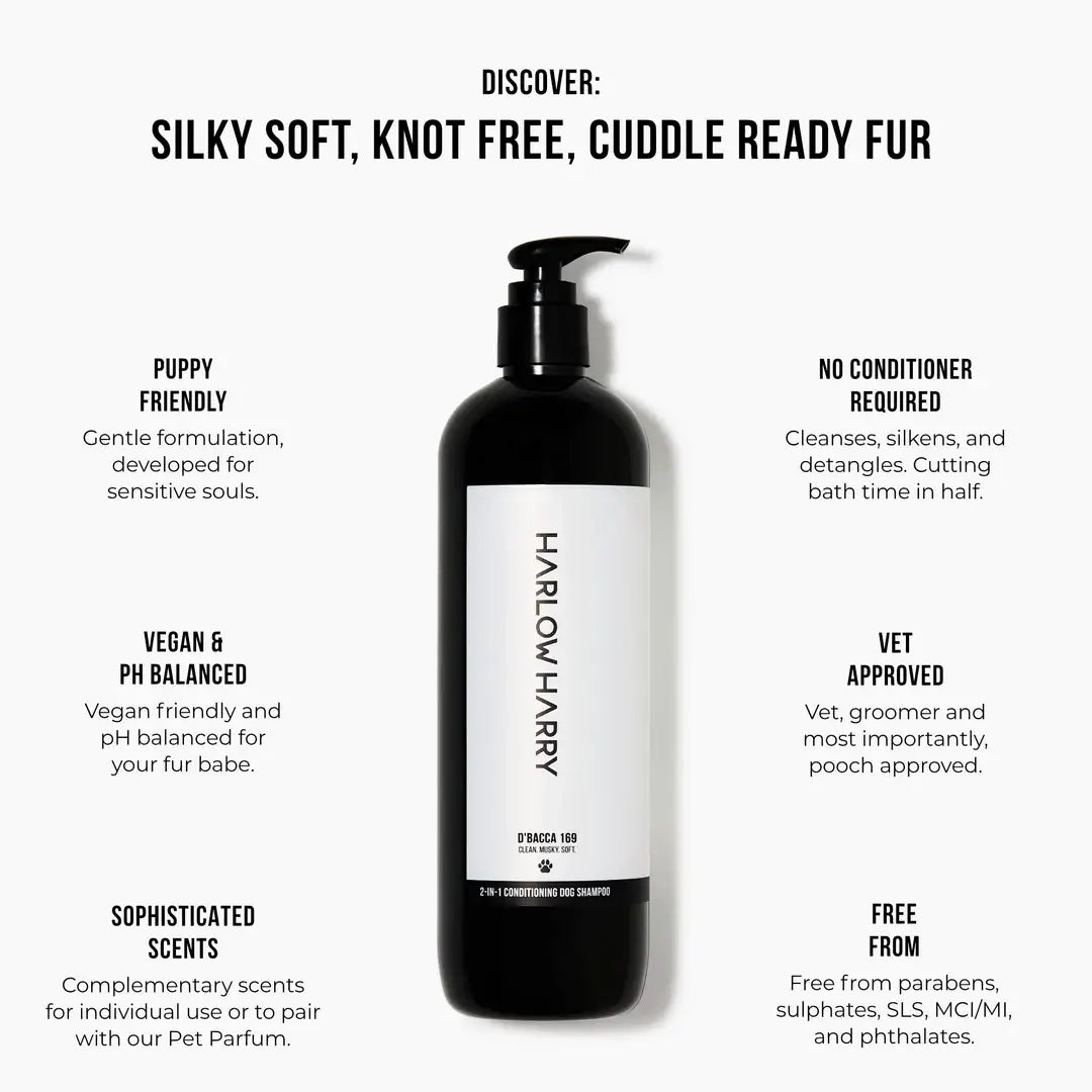 HARLOW HARRY - 2 - in - 1 Conditioning Dog Shampoo | Hunter 33 - Teddy DogWear