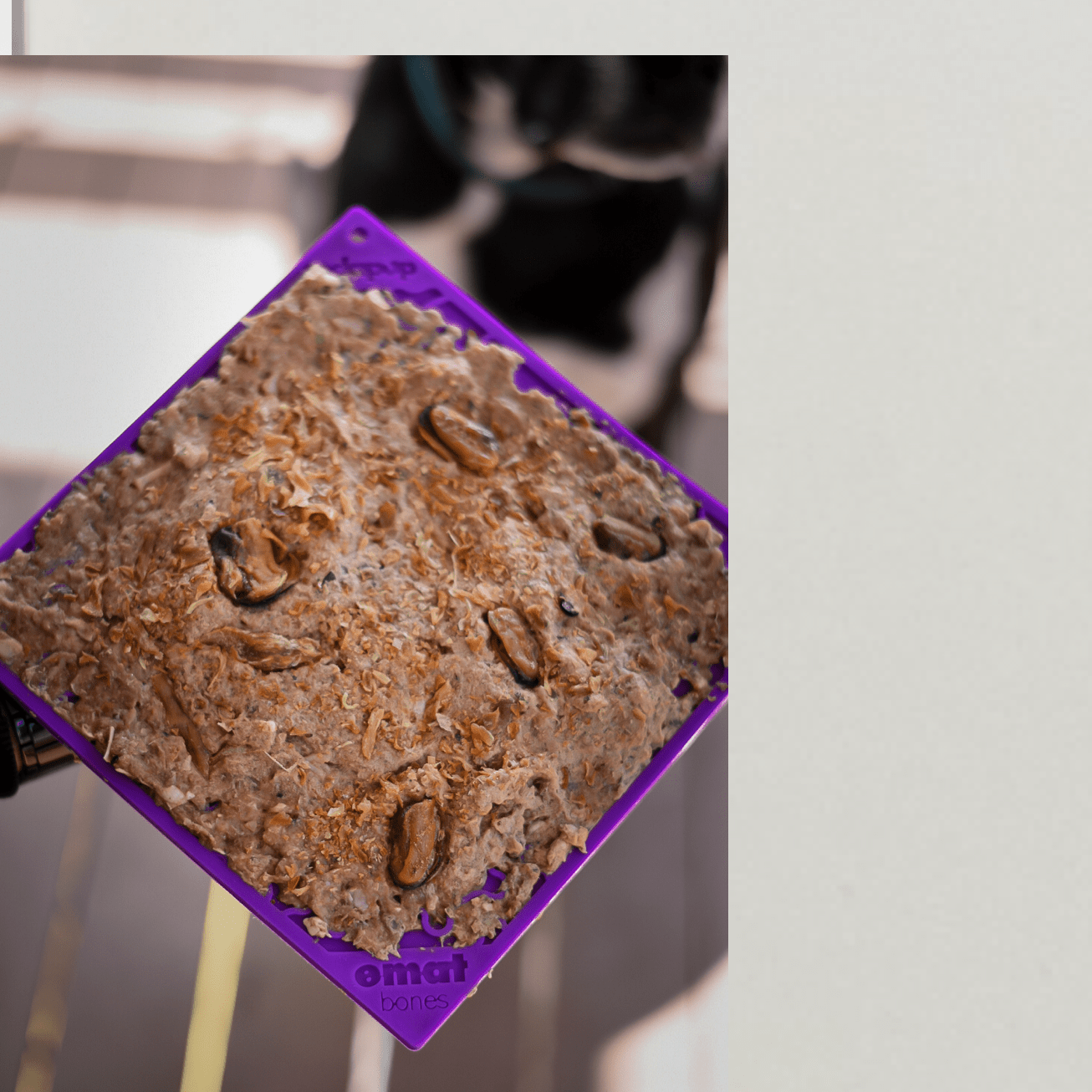 Soda Pup - Bones Emat Enrichment Lick Mat - Teddy DogWear