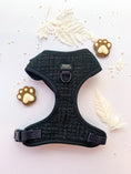 Load image into Gallery viewer, Teddy DogWear Harness, Collar Leash Pooh Bag Holder - Teddy DogWear
