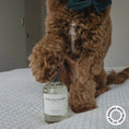 Load image into Gallery viewer, HARLOW HARRY - Dog Perfume | Hunter 33 - Teddy DogWear
