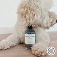 Load image into Gallery viewer, HARLOW HARRY - Dog Perfume | L'hermitage 37 - Teddy DogWear
