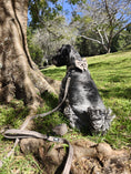Load image into Gallery viewer, Premium Dog Plaid DK Harness Collar Lead Bow Tie
