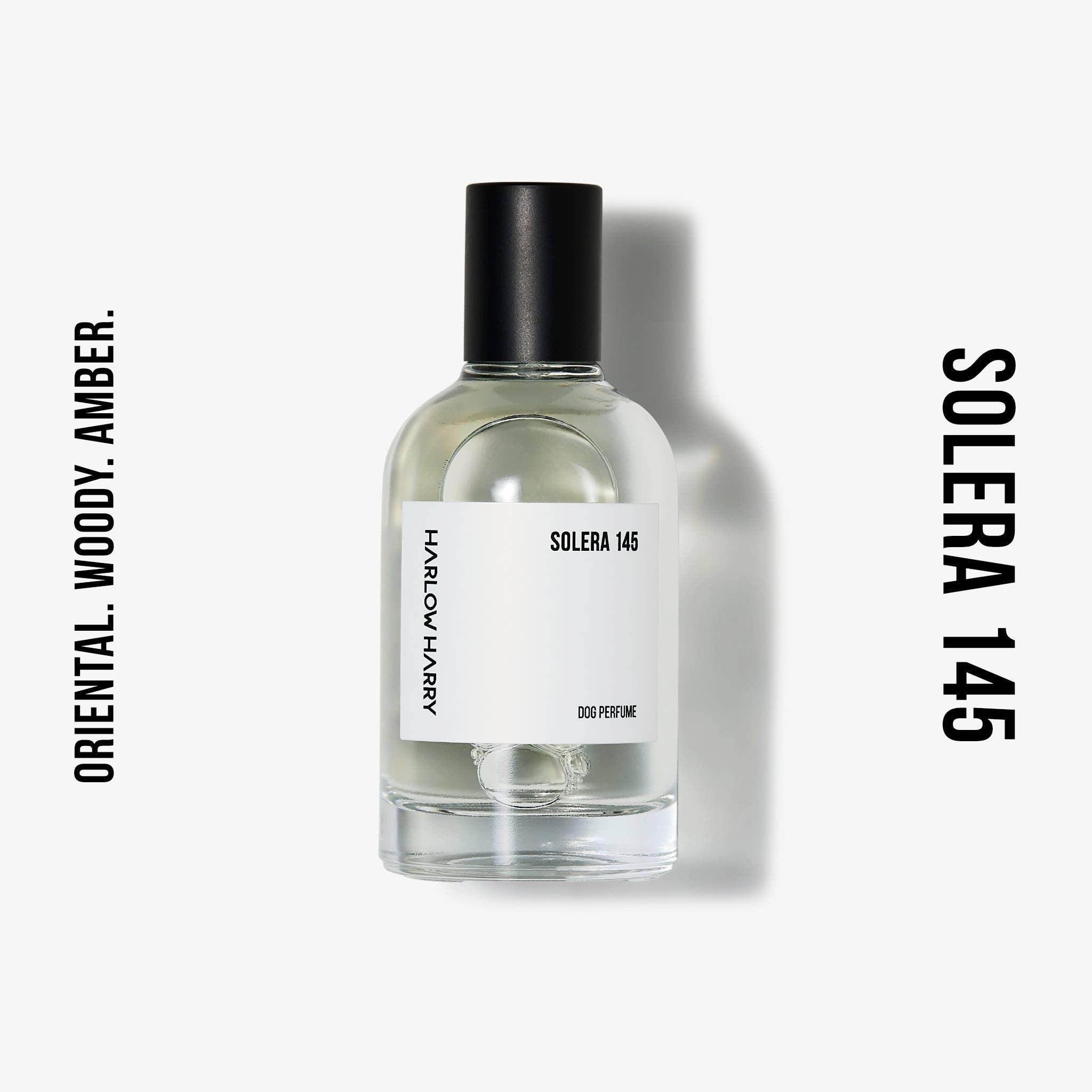 HARLOW HARRY - Dog Perfume | Solera 145 - Teddy DogWear