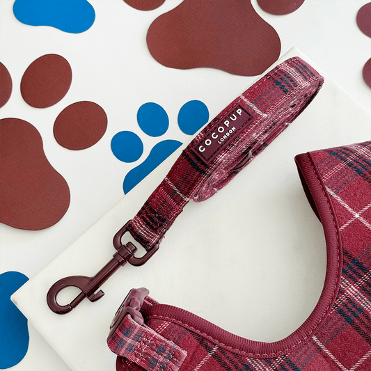 Cocopup London - Mulberry Plaid Lead - Teddy DogWear