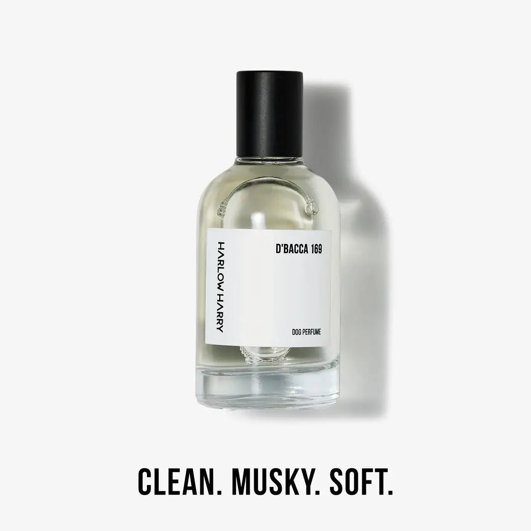 HARLOW HARRY - Dog Perfume | D'bacca 169 - Teddy DogWear