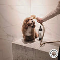 Load image into Gallery viewer, HARLOW HARRY - 2 - in - 1 Conditioning Dog Shampoo | L'hermitage 37 - Teddy DogWear
