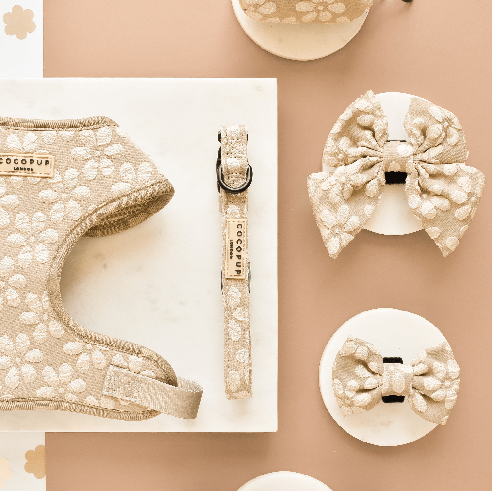 Cocopup London - LUXE Collar - Mocha Flower - Teddy DogWear