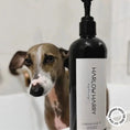 Load image into Gallery viewer, HARLOW HARRY - 2 - in - 1 Conditioning Dog Shampoo | L'hermitage 37 - Teddy DogWear

