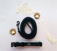 Load image into Gallery viewer, Teddy DogWear Harness, Collar Leash Pooh Bag Holder - Teddy DogWear
