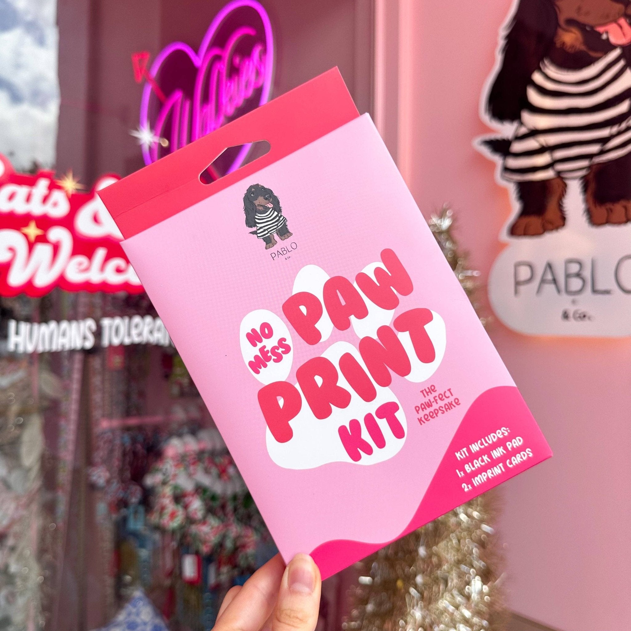 Pablo & Co. Boutique - No Mess Dog Paw Print Kit By Pablo & Co. - Teddy DogWear