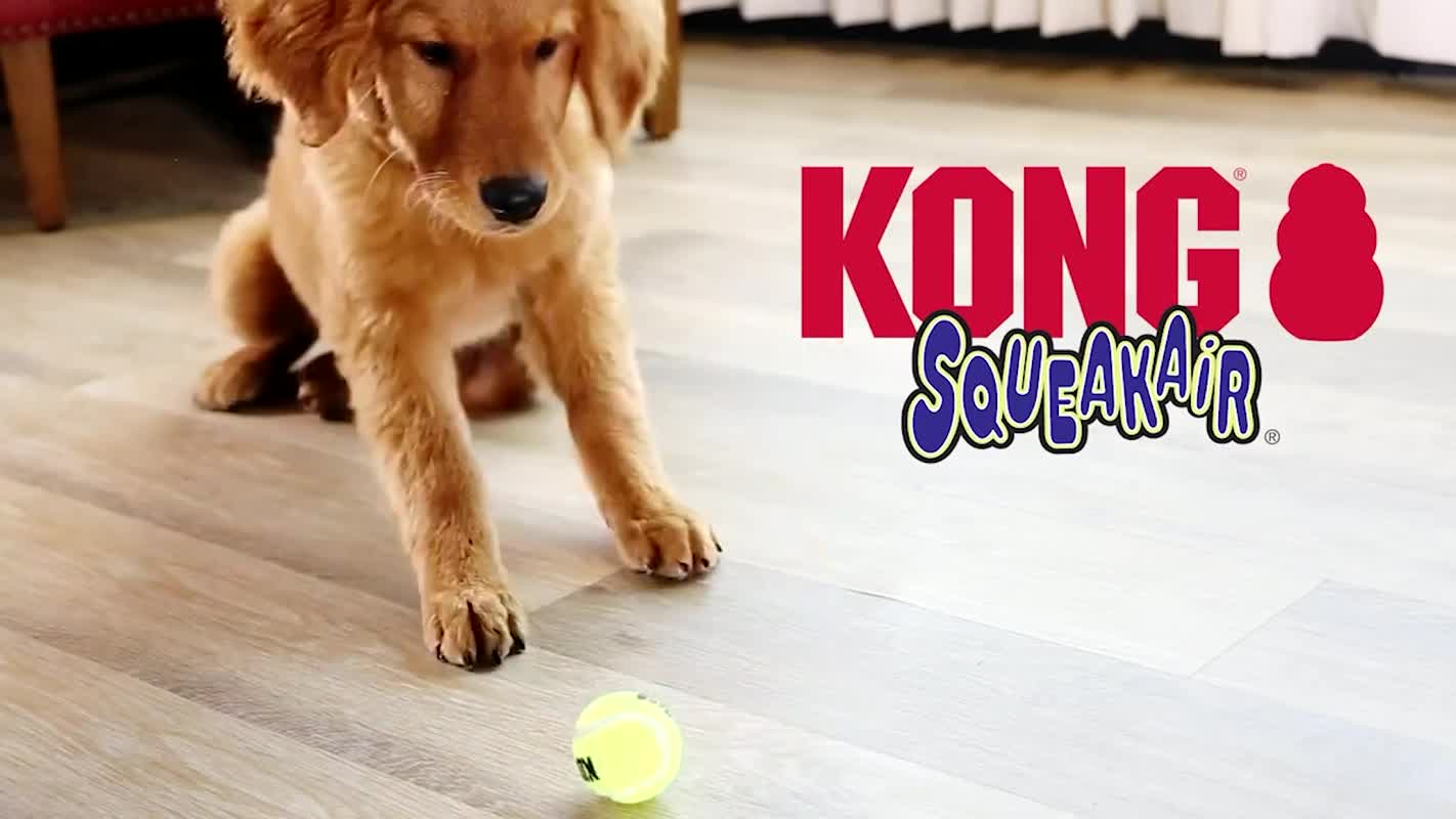 KONG Airdog Squeaker Balls Medium - Teddy DogWear