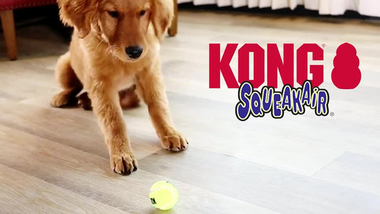 KONG Airdog Squeaker Balls Medium - Teddy DogWear