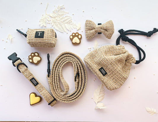Teddy DogWear Harness, Collar Leash - Teddy DogWear