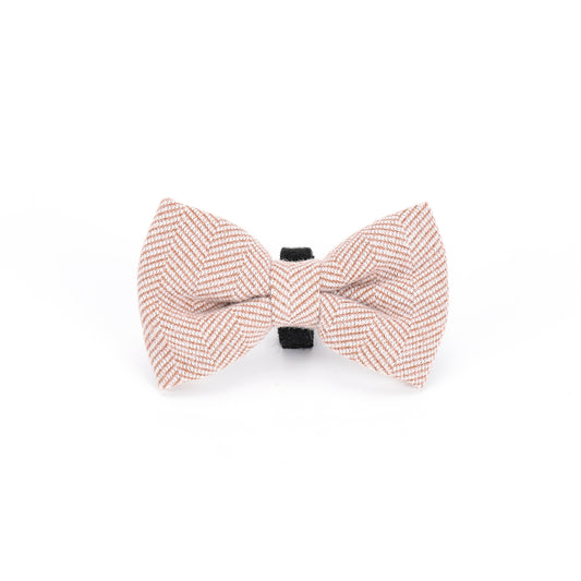 Teddy DogWear Harness, Collar Leash - Teddy DogWear