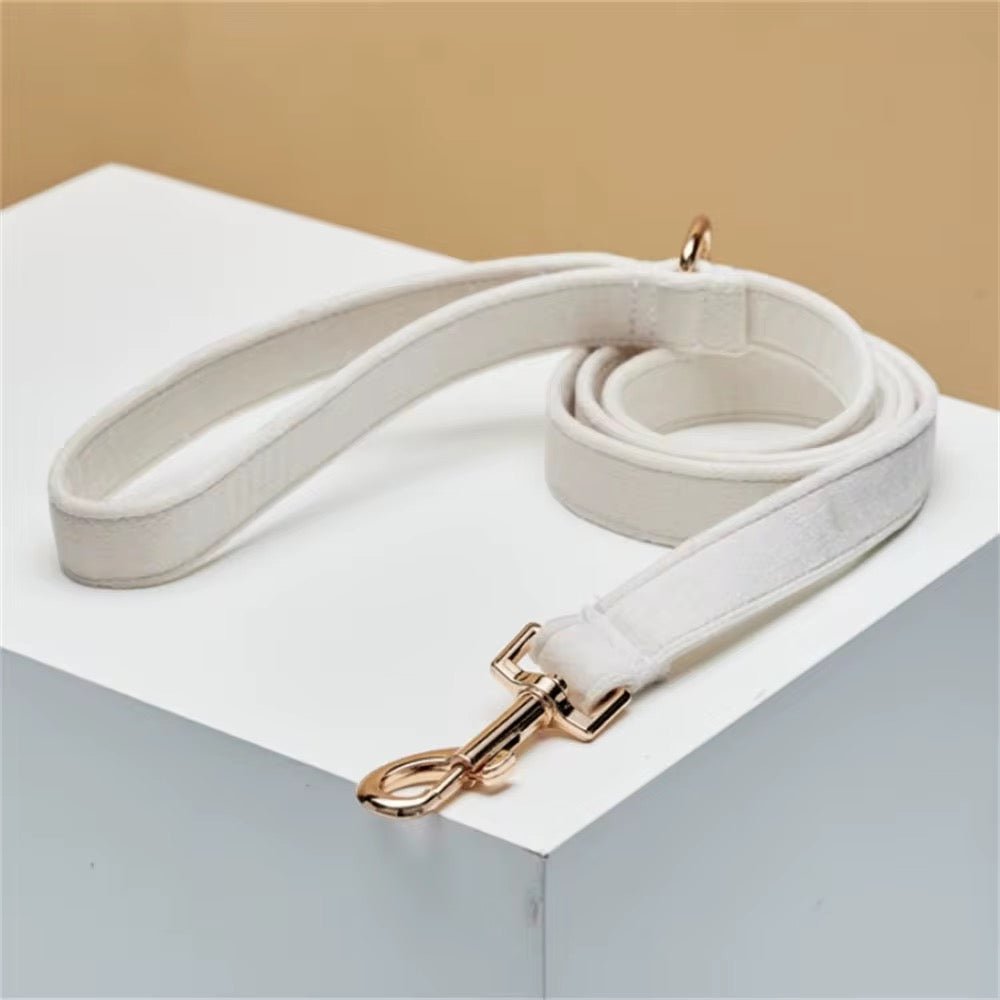 Soft Velvet Lead - Teddy DogWear