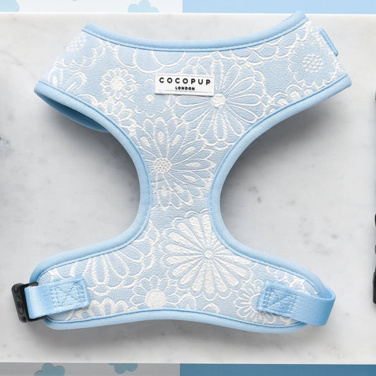 Cocopup London – LUXE Adjustable Neck Harness – Baby Blue Flower - Teddy DogWear