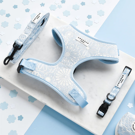Cocopup London – LUXE Adjustable Neck Harness – Baby Blue Flower - Teddy DogWear