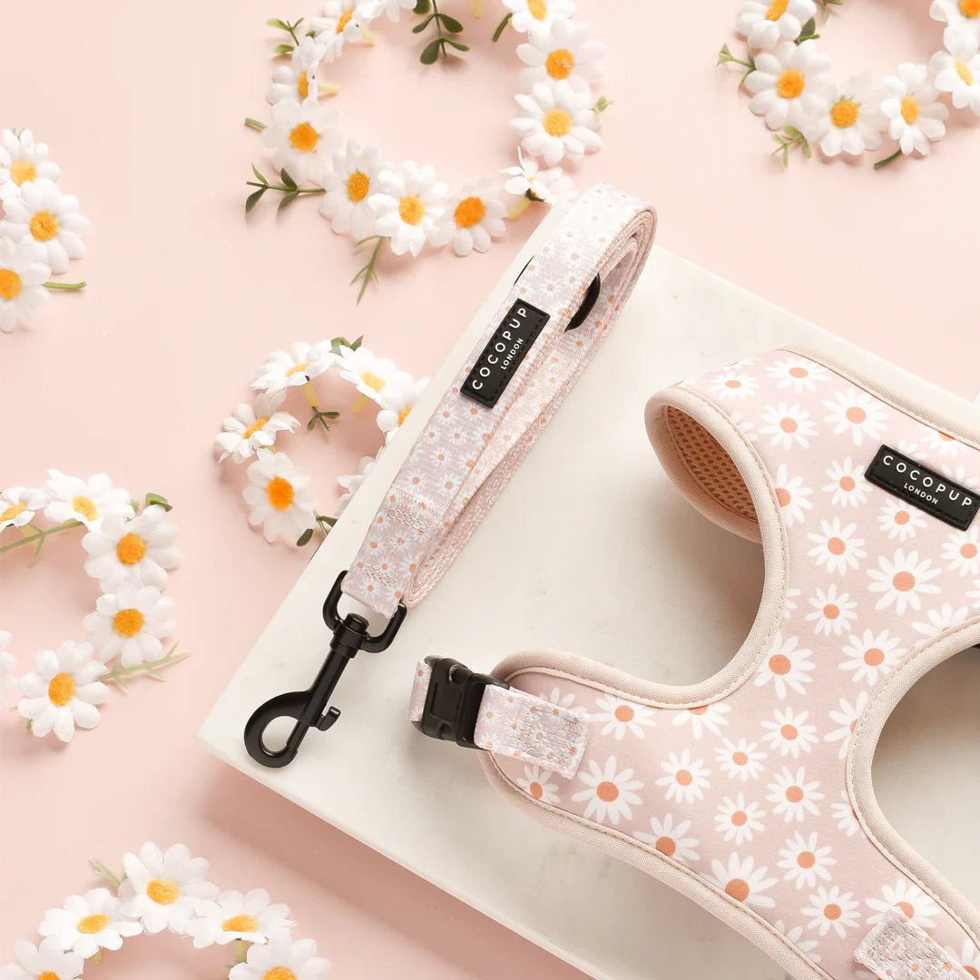 Cocopup London Daisy Chain - Teddy DogWear