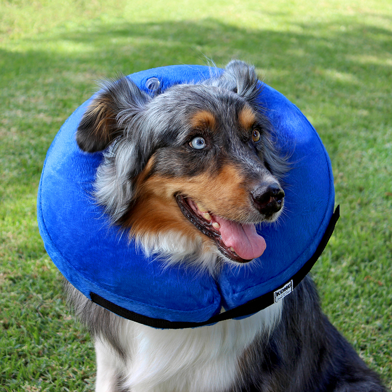 KONG Cloud Collar - Teddy DogWear