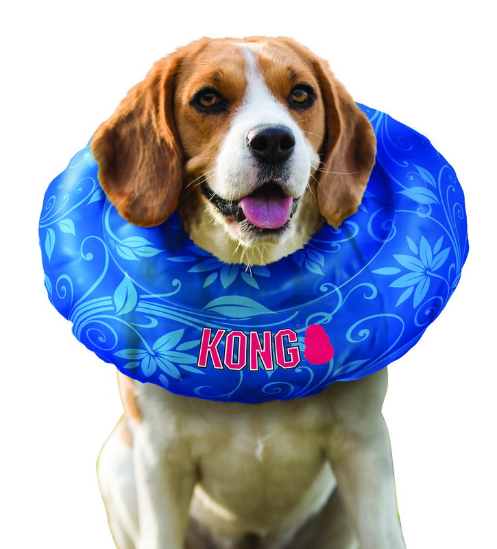 KONG Cloud Collar - Teddy DogWear