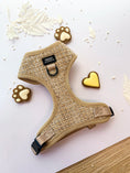 Load image into Gallery viewer, Teddy DogWear Harness, Collar Leash - Teddy DogWear
