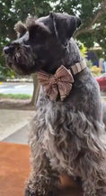 Load image into Gallery viewer, Premium Dog Plaid DK Harness Collar Lead Bow Tie
