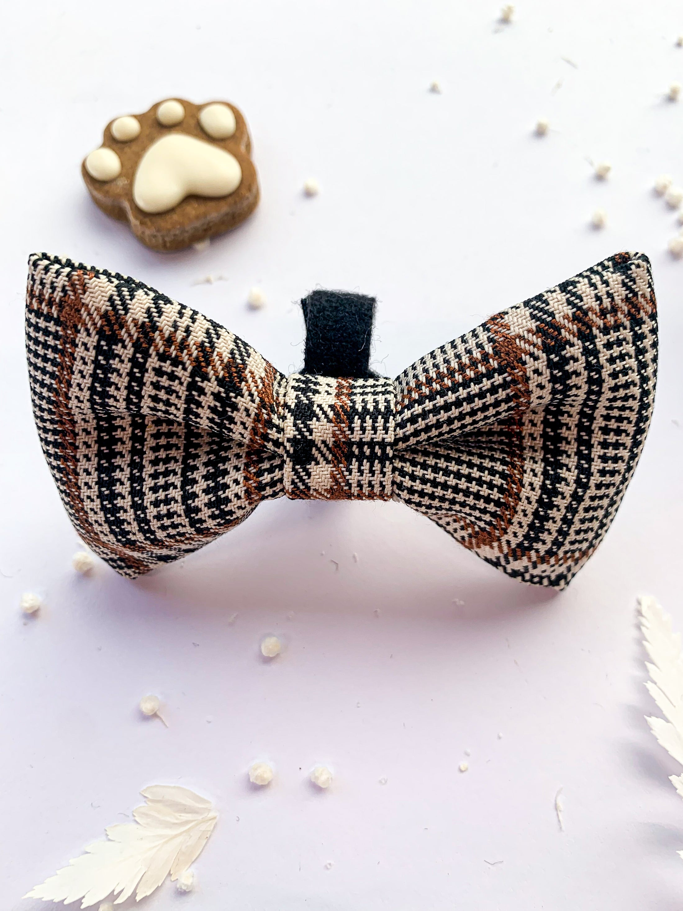 Teddy DogWear Harness, Collar Leash