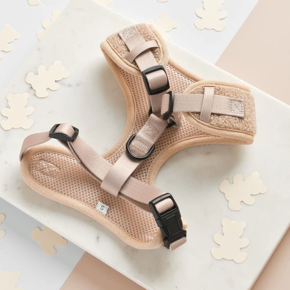 Cocopup London – Adjustable Neck Harness – Teddy Rupert - Teddy DogWear