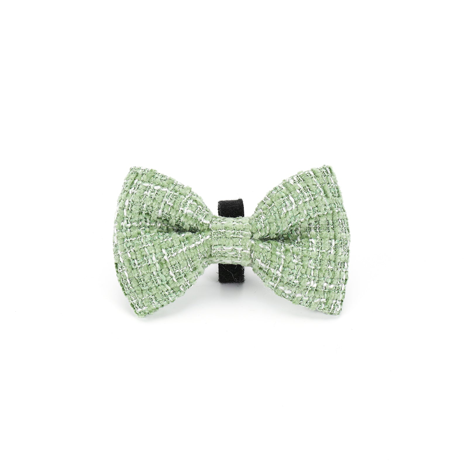 Teddy DogWear Harness, Collar Leash - Teddy DogWear