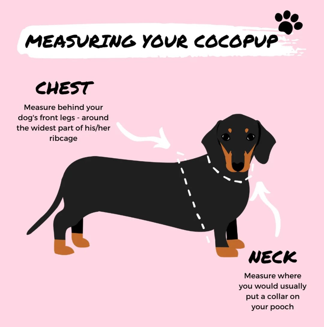 Cocopup London – Adjustable Neck Harness – Pupberry Fields - Teddy DogWear