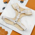 Load image into Gallery viewer, Cocopup London – Adjustable Neck Harness Honey Meadow
