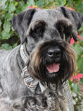 Load image into Gallery viewer, Plaid Light Collar - Teddy DogWear
