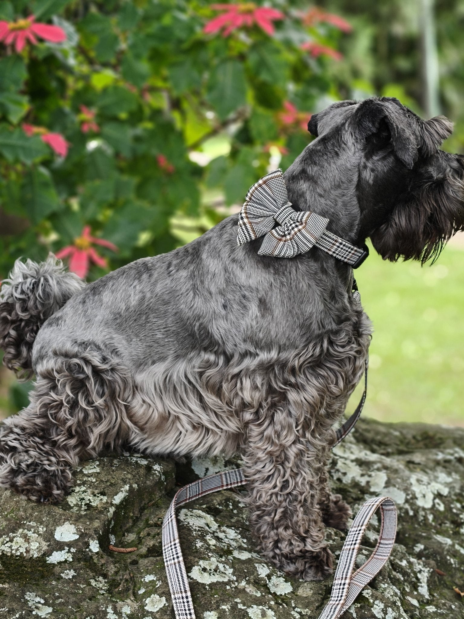 Lead Plaid Light - Teddy DogWear