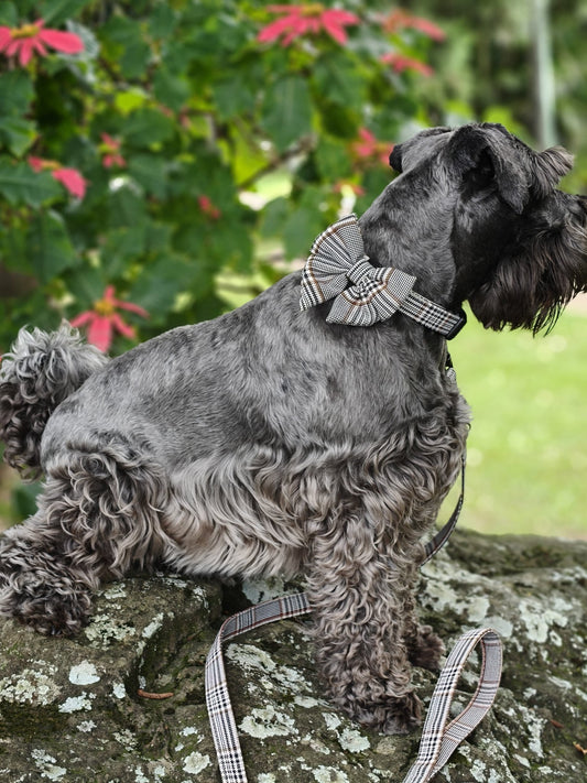 Lead Plaid Light - Teddy DogWear