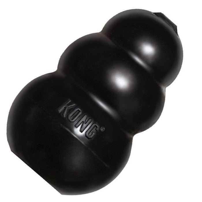 KONG Extreme Large - Teddy DogWear
