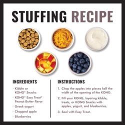 KONG Extreme Large - Teddy DogWear