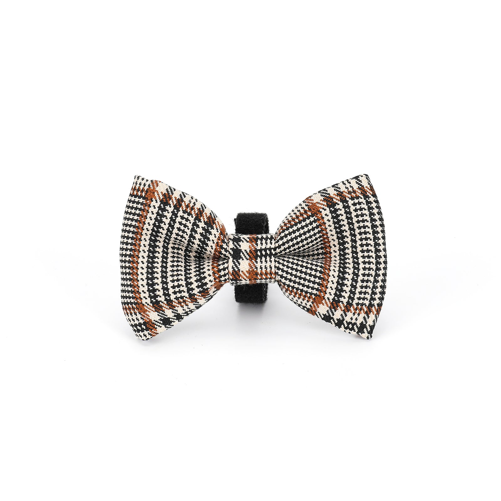 Teddy DogWear Harness, Collar Leash - Teddy DogWear