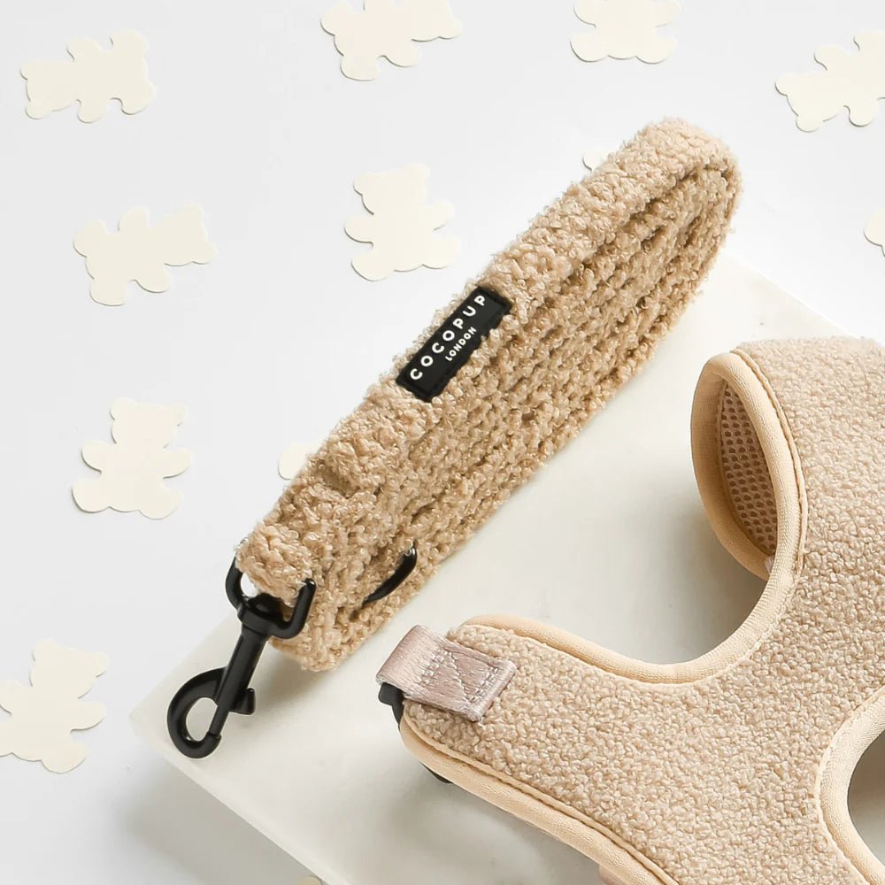 Cocopup London – Dog Lead – Teddy Rupert - Teddy DogWear