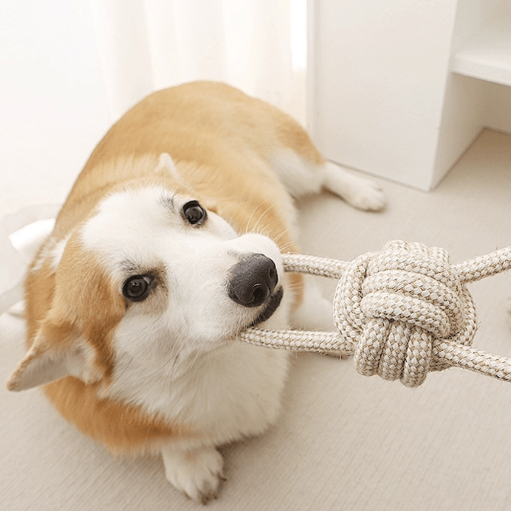Natural Hemp Dog Rope Chew Toy - Teddy DogWear
