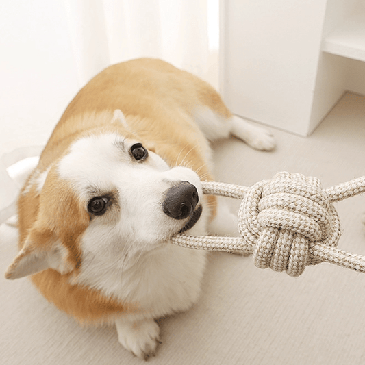 Natural Hemp Dog Rope Chew Toy - Teddy DogWear