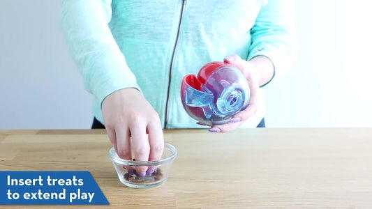 KONG Rewards Ball Interactive Treat Dispening Dog Toy - Teddy DogWear