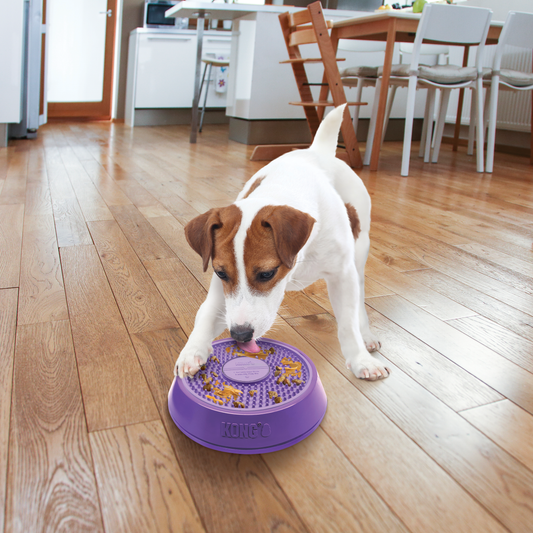 KONG Licks Spinz Spinning Food Bowl for Cats and Dogs - Large