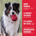 Load image into Gallery viewer, KONG Classic Small - Teddy DogWear
