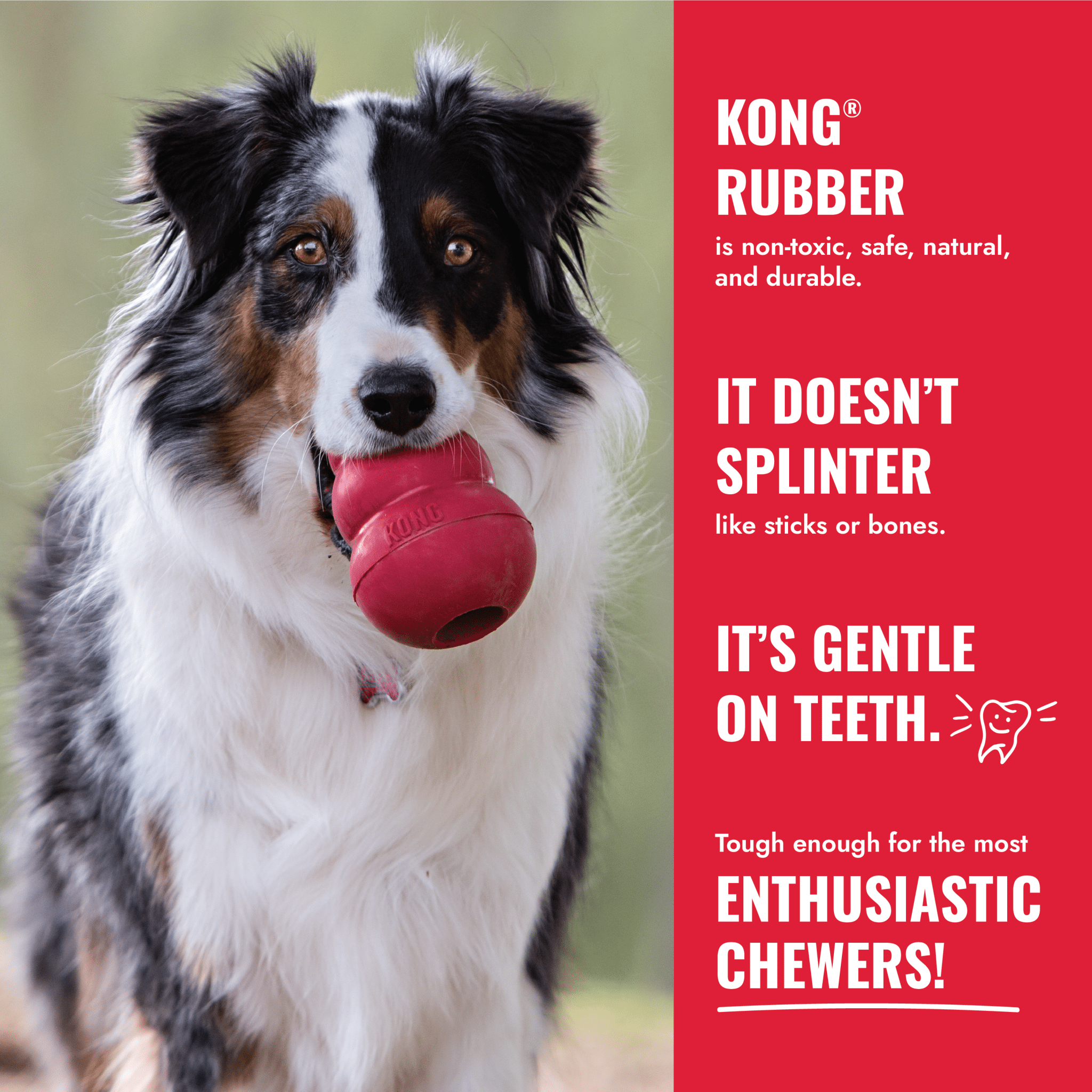 KONG Classic Small - Teddy DogWear