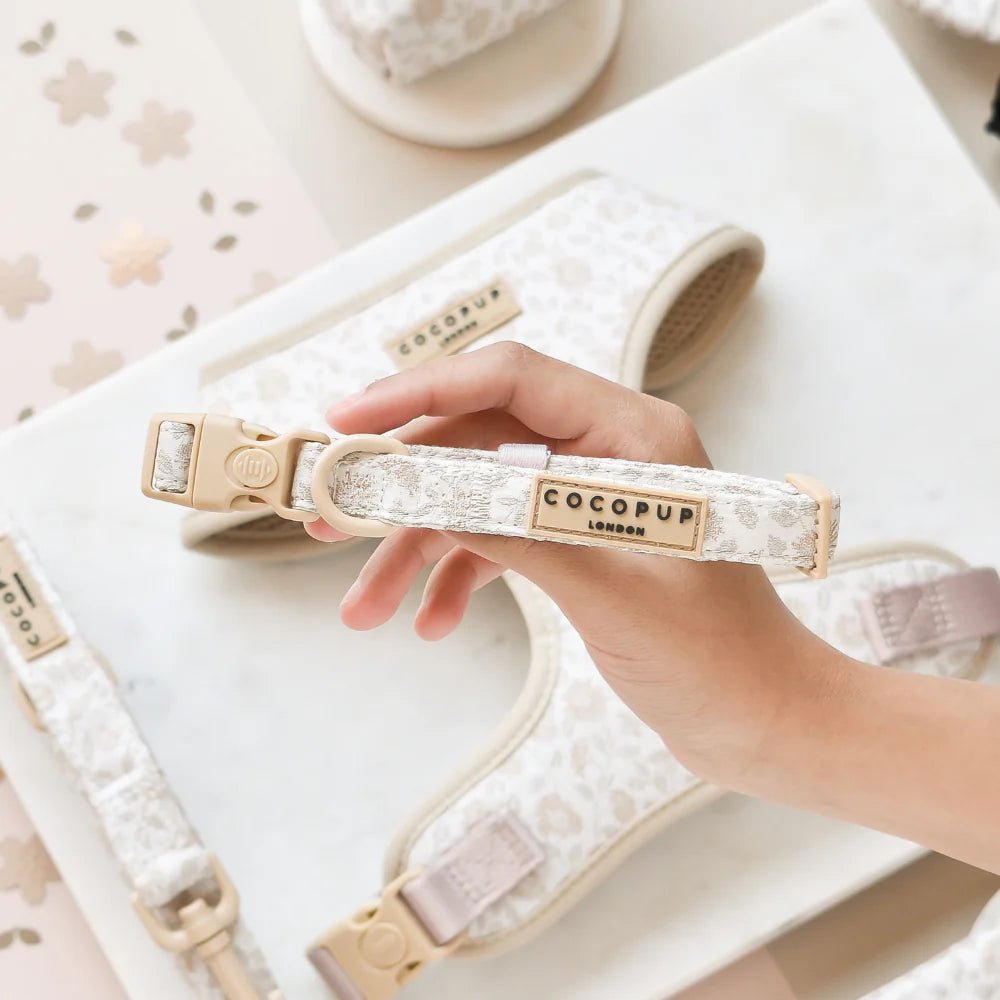 Cocopup London – LUXE Dog Collar – Garden Meadow - Teddy DogWear