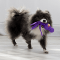 Load image into Gallery viewer, KONG Wubba Small - Teddy DogWear

