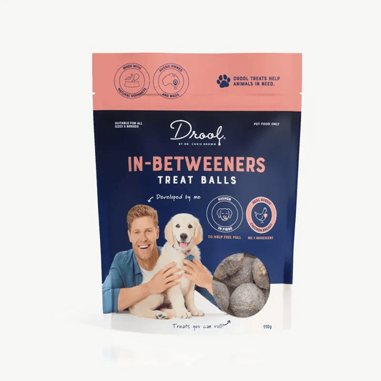Drool Dr Chris In - Betweeners Inner Health Treats 110G - Teddy DogWear